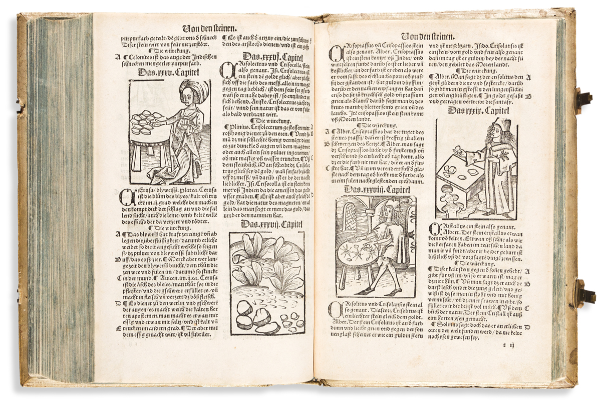 Fries, Lorenz (circa 1485-1532) Der Spiegel der Artzney. [bound with] Gart der Gesuntheit; zu Latin Ortus Sanitatis.